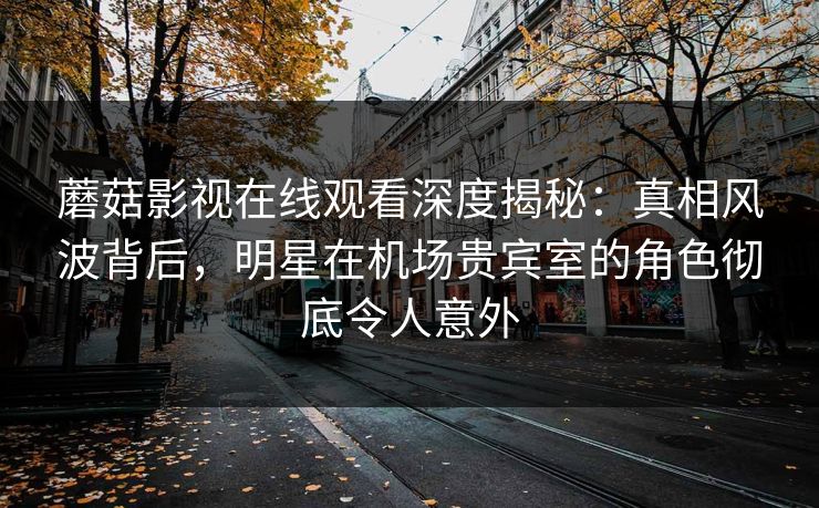 蘑菇影视在线观看深度揭秘:真相风波背后,明星在机场贵宾室的角色彻底令人意外 蘑菇影视在线观看深度揭秘:真相风波背后,明星在机场贵宾室的角色彻底令人意外