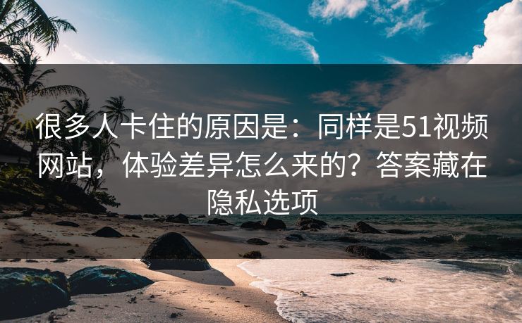很多人卡住的原因是：同样是51视频网站，体验差异怎么来的？答案藏在隐私选项
